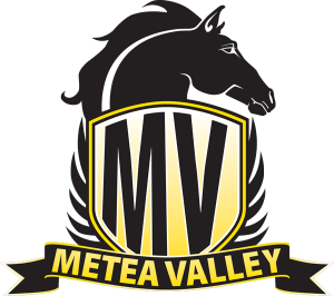 Metea Valley PTSA